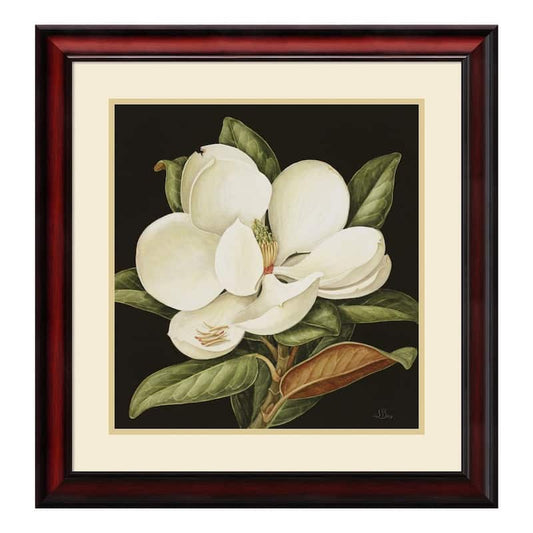 24 in. W x 25 in. H 'Magnolia Grandiflora, 2003' by Jenny Barron Printed Framed Wall Art