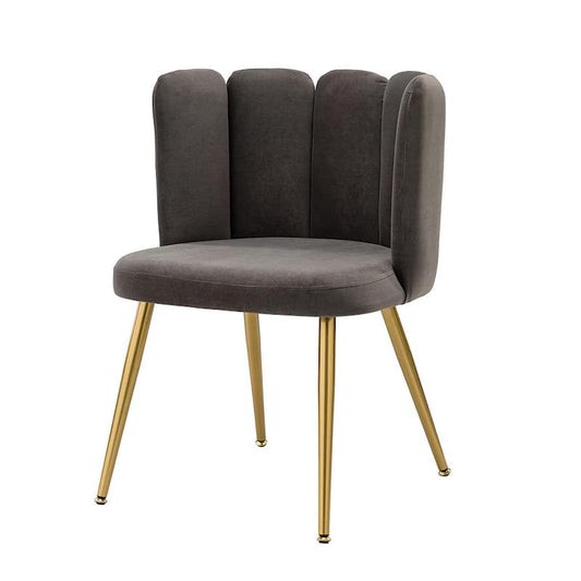 Yginio Grey Velvet Side Chair with Metal Legs